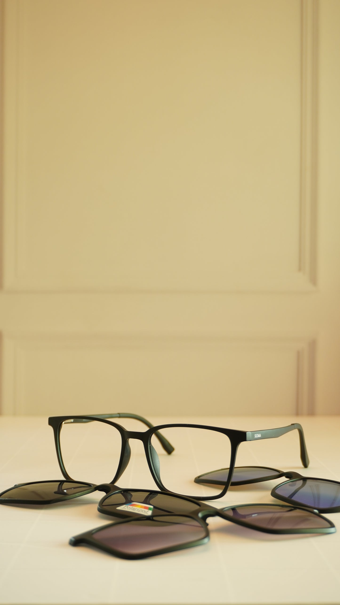 Modelo Lentes de Clip + Armazón